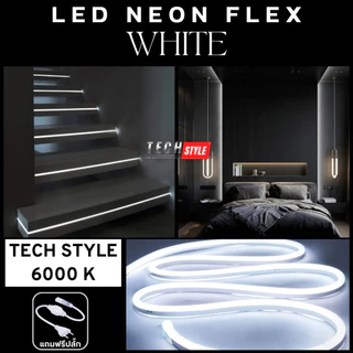 ไฟเส้น Neon Flex LED ฟรีปลั๊ก ขนาดใหญ่ 8x16 mm IP67กันน้ำกันฝุ่น ยืดหยุ่นสูง แสงสม่ำเสมอ 220V