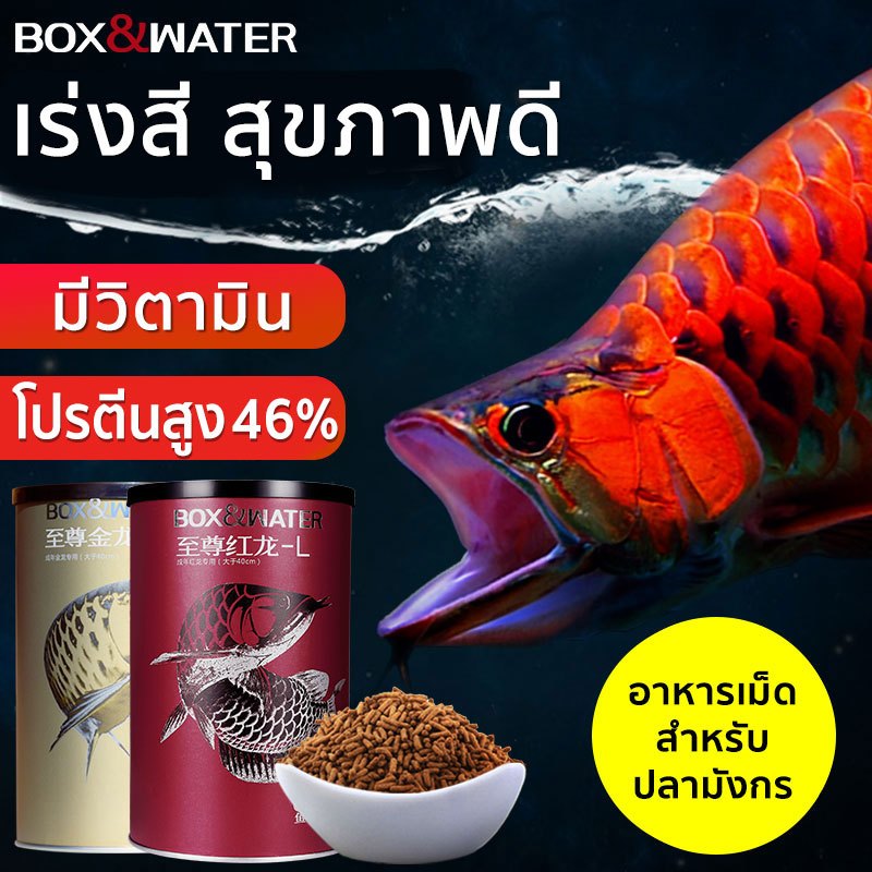 [แท้100%] BOX&WATER โปรตีนสูง 46% ช่วยเร่งสี มีวิตามิน นำเข้าเกรดพรีเมี่ยม อาหารเม็ดปลามังกร