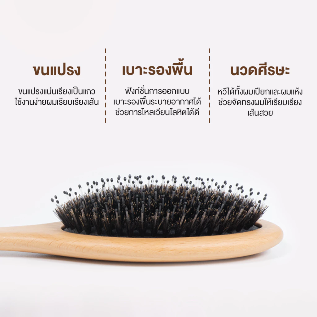 Haxon Boar-Bristle Hairbrush หวีขนหมูป่าแท้ ขนหมูอัดแน่น หวีลดผมร่วง ช่วยให้ผมเงางาม แก้ผมพันกัน นวดหนังศีรษะ thumbnail 5