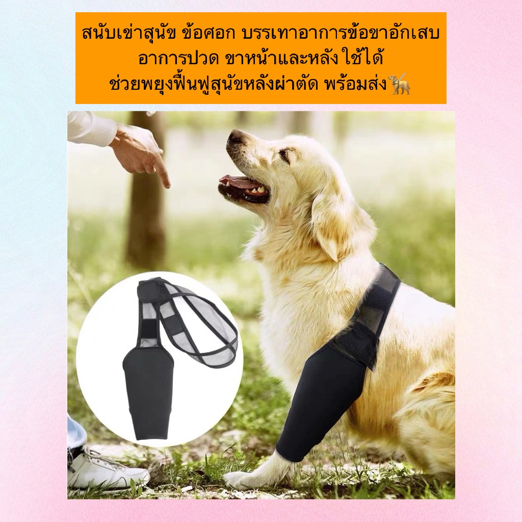 AL-1161 ผ้ารัดข้อเข่า ข้อศอก พันรอบเอว เฝือกอ่อน บรรเทาอาการอาการปวดสัตว์เลี้ยง พร้อมส่ง