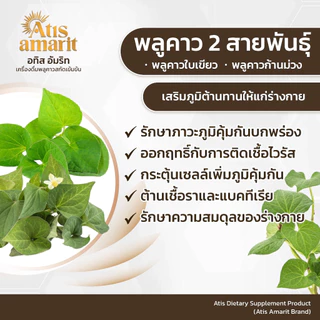 Atis Amarit น้ำพลูคาว 3 แถม 3 อทิส อัมริท พลูคาวสกัด พลูคาว อั้ม น้ำอัมริท พลูคาวน้ำ อัมริทพลูคาว