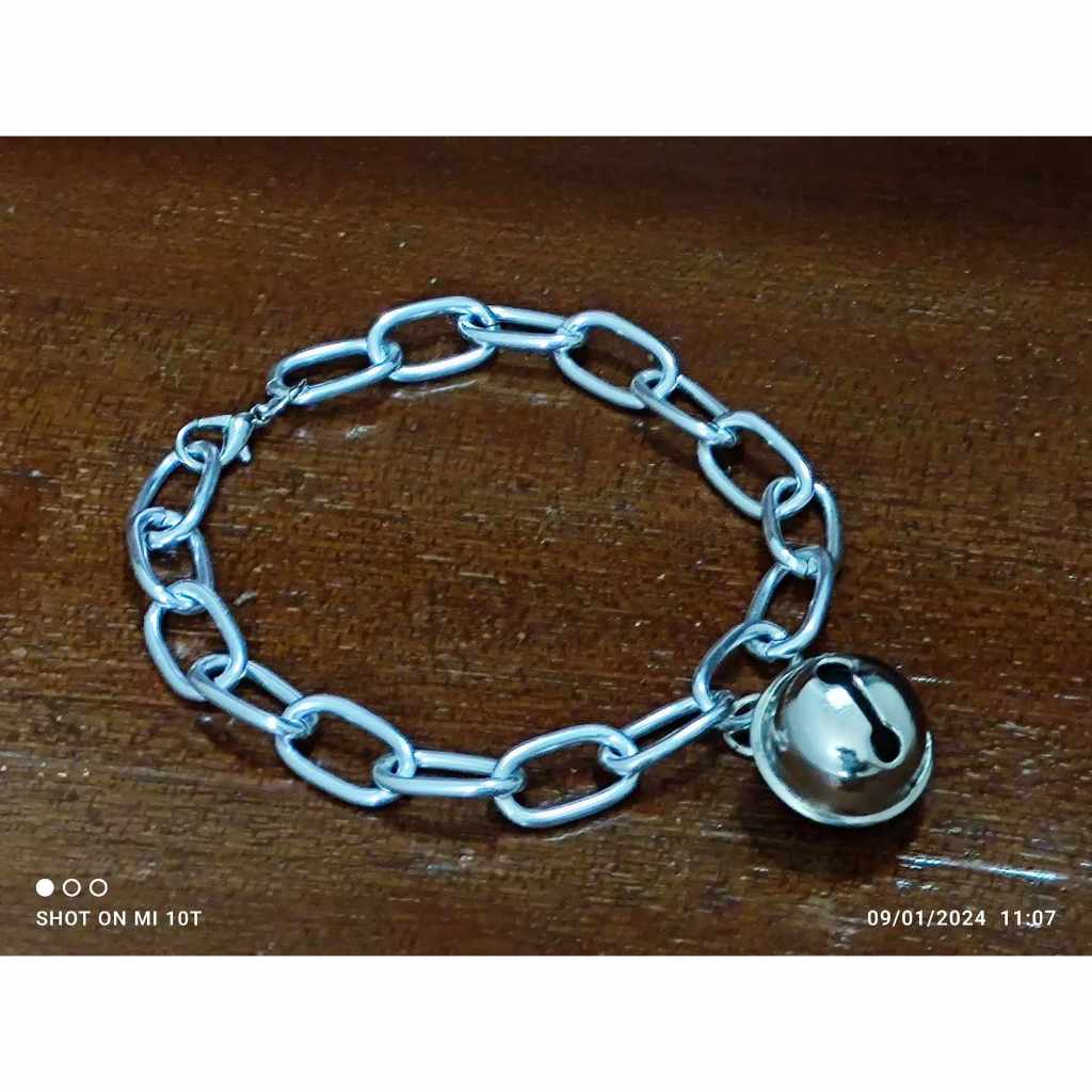 สร้อยคอแมว สร้อยคอหมา ปลอกคอ โซ่อลูมิเนียม สีเงิน รอบคอ 8-18 นิ้ว กระพรวนสีเงิน (LTH-โซ่#K-2012)