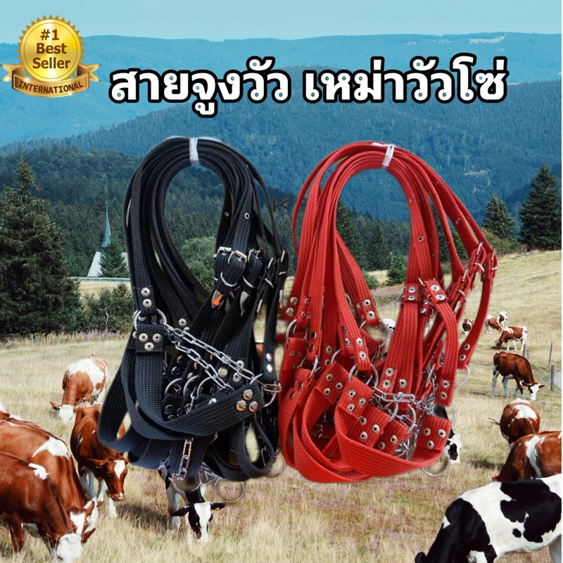 ขลุมวัว สายจูงวัวผ้าถัก ขุมวัว สำหรับวัวเล็ก วัวขนาดกลาง