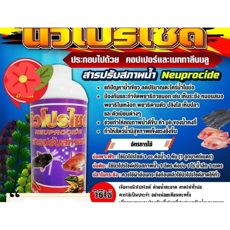 นิวโปรไซด์ 🐸🐢🦞🐟🐢🐸🦞🐸🐢🦞🐟🐢🐸🦞