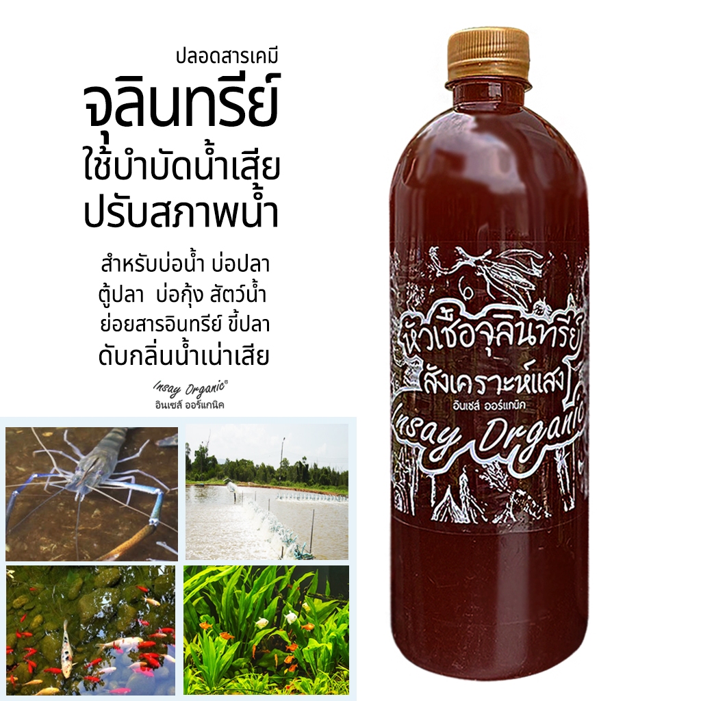 INSAY ORGANIC จุลินทรีย์ ใช้บำบัดน้ำ ดับกลิ่น ปรับสภาพน้ำ ย่อยสลาย สำหรับเลี้ยงปลา กุ้ง