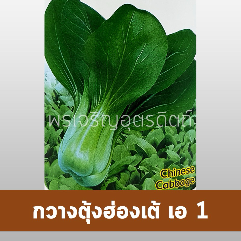 เมล็ดพันธุ์ ผักกาดกวางตุ้ง กวางตุ้งฮ่องเต้ เอ 1 (500 กรัม) เมล็ดกวางตุ้ง  เมล็ดพันธุ์ผักสวนครัว ตรากำไลทอง มังกรคู่ - รูปที่ 2
