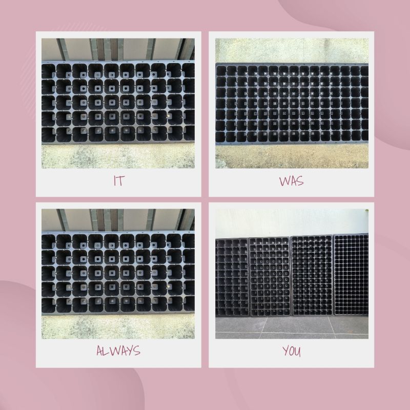 ถาดสำหรับเพาะเมล็ดพันธุ์ (105 หลุม) หนา 1.0 mm.(ใช้ซ้ำได้หลายครั้ง)