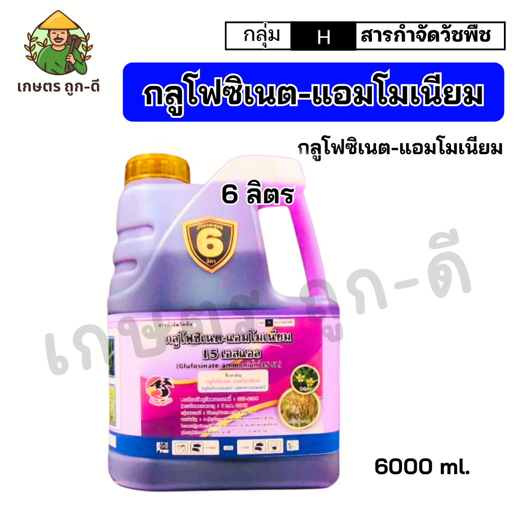 กลูโฟซิเนต-แอมโมเนียม 15% (น้ำม่วง) ขนาด 6 ลิตร สินค้าผลิตใหม่ ของแท้ ส่งตรงจากโรงงาน