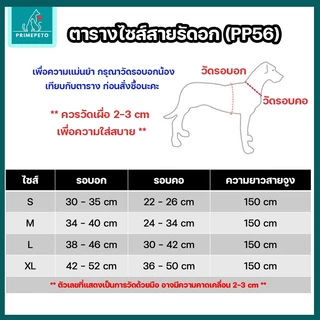 PrimePetto ได้ครบชุด สายรัดอกสุนัข สายรัดอกแมว ระบายความร้อนได้ดี แข็งแรงทนทาน ใช้จูงเดิน จูงวิ่งได้