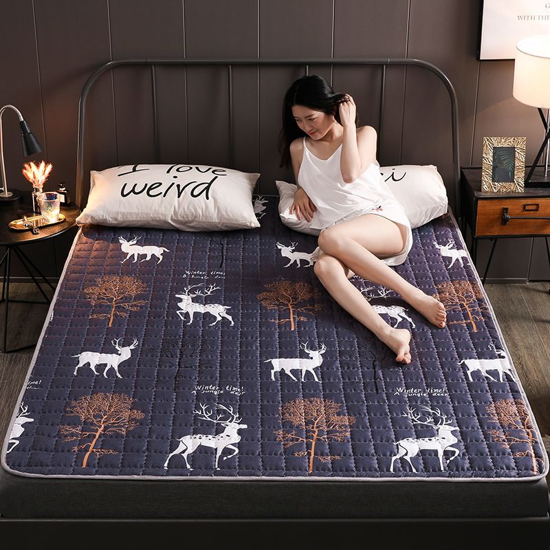ที่นอนบาง ผ้ารองกันเปื้อนที่นอน ที่นอนปิคนิค ขนาด 3.5 ฟุต 5 ฟุตและ 6ฟุต Four Seasons Washable กันลื่น