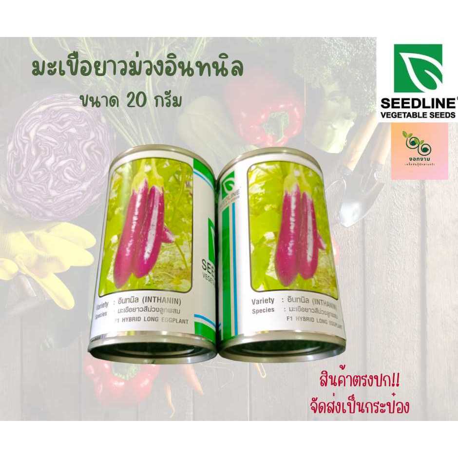 มะเขือยาวม่วงอินทนิล ขนาด 20 กรัม