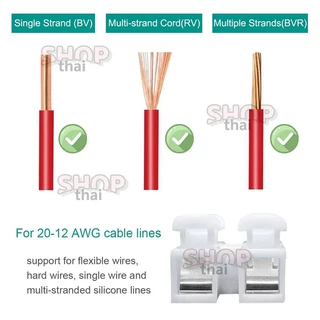 เต๋าต่อสายไฟ ข้อต่อสายไฟ ชนิดสปริง 2ช่อง ตัวจั้มสาย เทอร์มินอล แบบกดเสียบ อย่างดี
