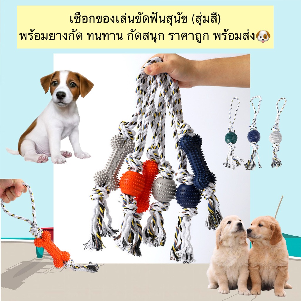 BN-1172 เชือกของเล่นขัดฟันสุนัข พร้อมยางกัด ทนทาน เล่นสนุกสุดฟิน 🐶💙 ของเล่นสุดคุ้ม ที่ช่วยขัดฟัน ลดหินปูน