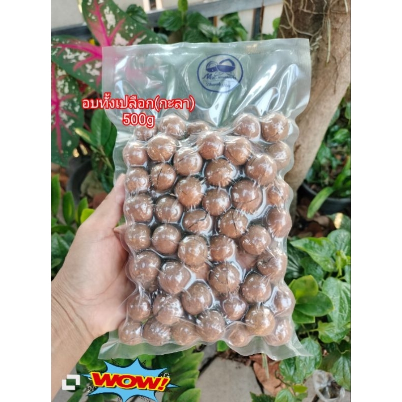 แมคคาเดเมีย อบทั้งเปลือกกะลา 500g.