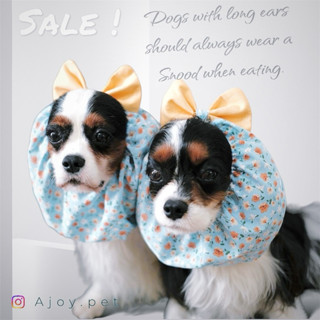 Dog Snoodที่คลุมหูสุนัข