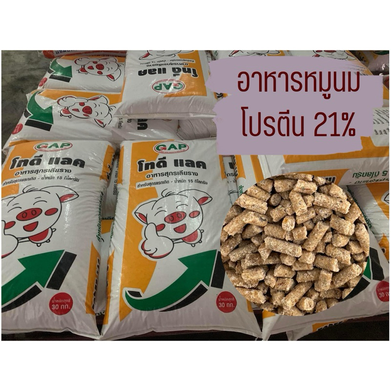 อาหารหมูนม สุกรเลียราง หมูอ่อน TodeeLac โปรตีน 21% ไก่กินได้