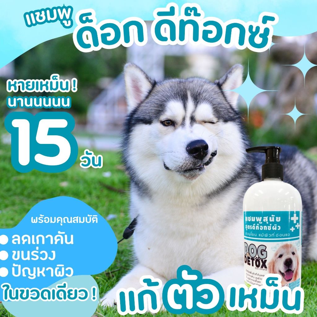 ส่งฟรี!ใช้ดีมาก แชมพูกำจัดกลิ่นตัว แก้ปัญหาผิว ด็อกดีท๊อกซ์ 500 ml.