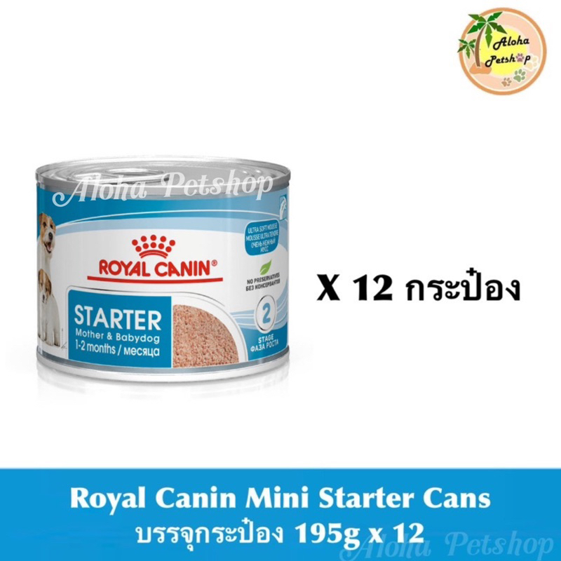 (12กระป๋อง)Royal canin Mini Starter Cans โรยัล คานิน มินิสตาร์ทเตอร์ กระป๋อง 195gx12กป