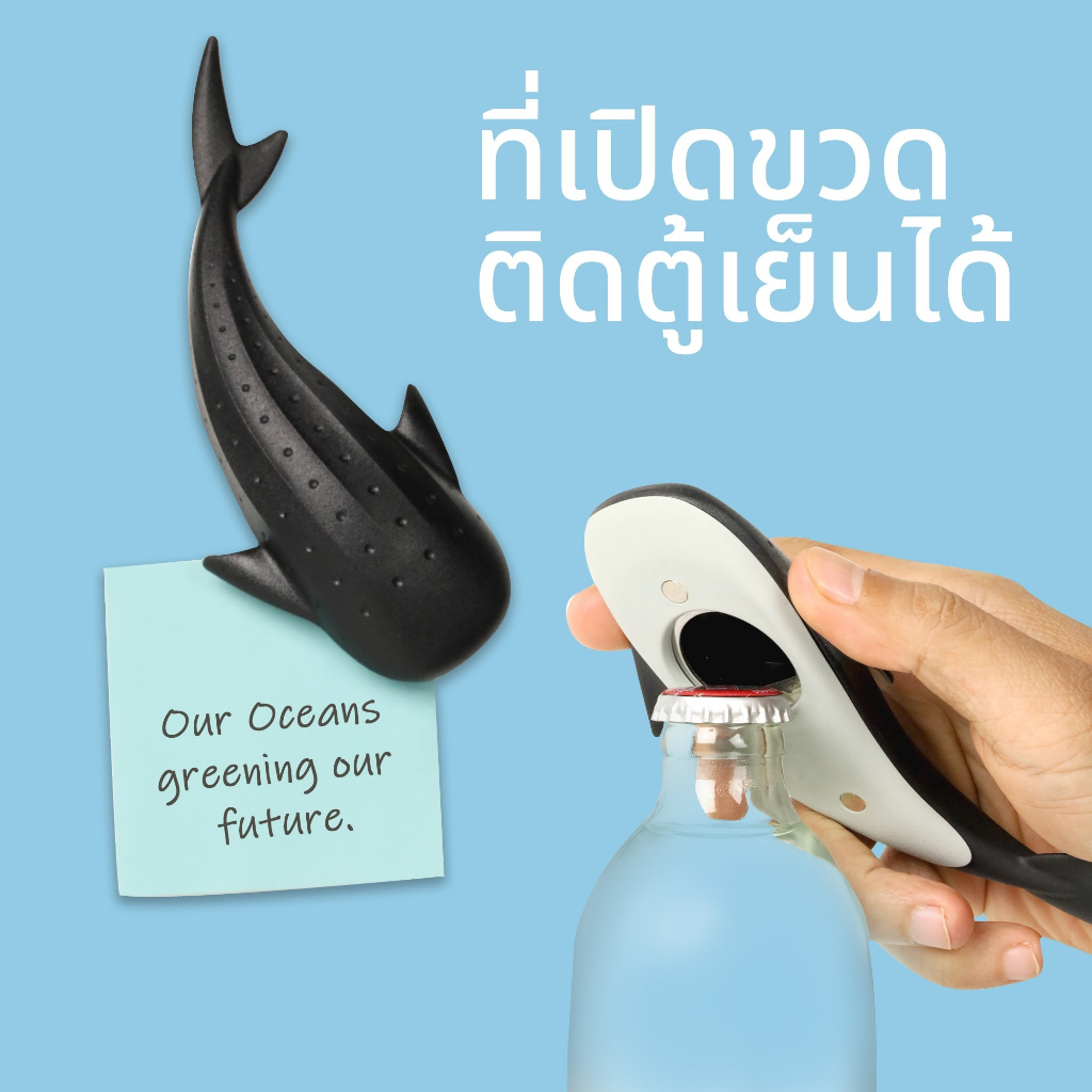 Whale Shark Bottle Opener ที่เปิดขวด ดีไซน์ ฉลามวาฬ มีแม่เหล็กติดกระดาษโน๊ตที่ตู้เย็น Qualy (ควอลี่)