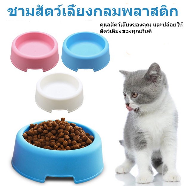 ชามอาหารสัตว์เลี้ยง ชามสุนัข หมา แมว ชามสัตว์เลี้ยง pet bowl / dog bowl / cat bowl