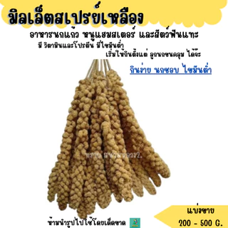 อ่านก่อนซื้อ..มิลเล็ตสเปรย์ (แบ่งขาย 200-500G.) อาหารนกแก้ว หนูแฮมสเตอร์ และสัตว์ฟันแทะ