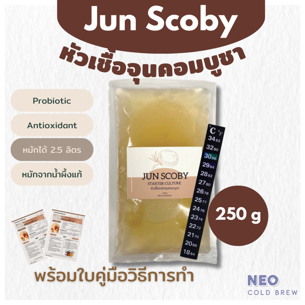 Jun Kombucha Scoby & Starter Liquid 250ml แผ่นสโคบีและน้ำตั้งต้นหมักจุนคอมบูชา