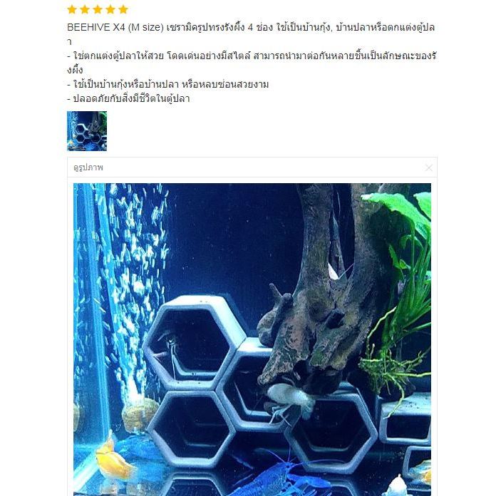 BEEHIVE X4 (M size) เซรามิครูปทรงรังผึ้ง 4 ช่อง ตกแต่งตู้ปลา เป็นบ้านกุ้ง/ปลา - รูปที่ 7