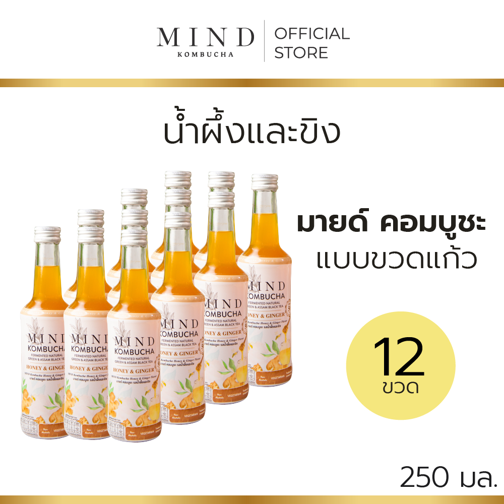 มายด์ คอมบูชะ ขวดแก้วพร้อมดื่ม รสน้ำผึ้งและขิง [12 ขวด] ขนาด 250 มล. (50 แคล)