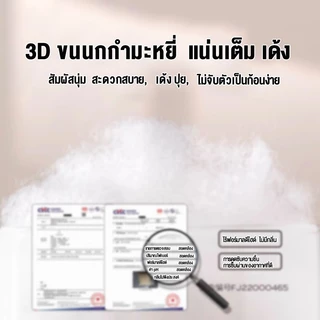 INFUN หมอน หมอนโซฟา หมอนสแควร์ หมอนอิง แฟลกซ์ แกนหมอน หมอนคุณภาพสูงสีขาวบริสุทธิ์ ขนาด30×30/40×40/50×50CM
