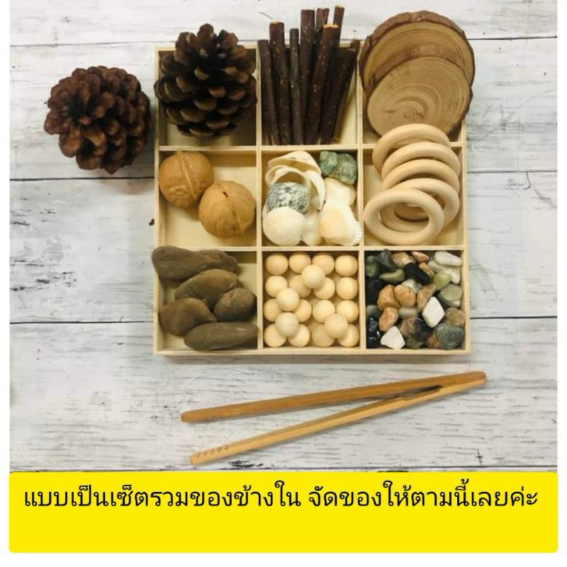 ถาด sensory play ธีมธรรมชาติ สไตล์ Montessori รูปที่ 3
