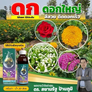 [ขายดีที่สุด] Dose โดสเอ็กซ์ตร้านาโน เพิ่มผลผลิตข้าว ข้าวโพด มัน อ้อย ผลไม้