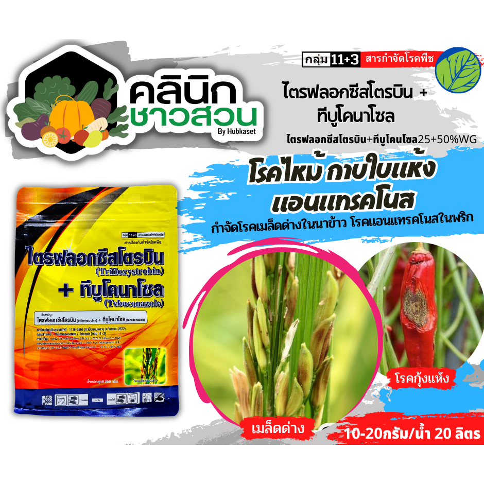 ไตรฟลอกซีสโตรบิน+ทีบูโคนาโซล (ตราเจียงซู) บรรจุ 250กรัม ป้องกันกำจัดโรคเมล็ดด่าง โรคกาบใบแห้ง โรคใบไหม้แผลใหญ่ โรคใบจุ