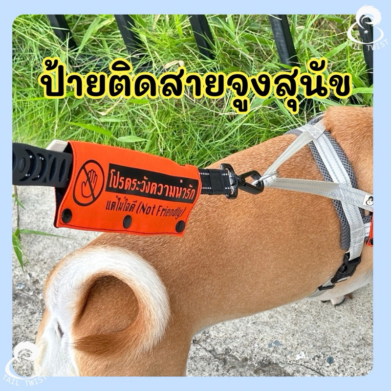 ป้ายติดสายจูง ป้ายสุนัข งานแฮนด์เมด ป้าย ห้ามจับ not friendly