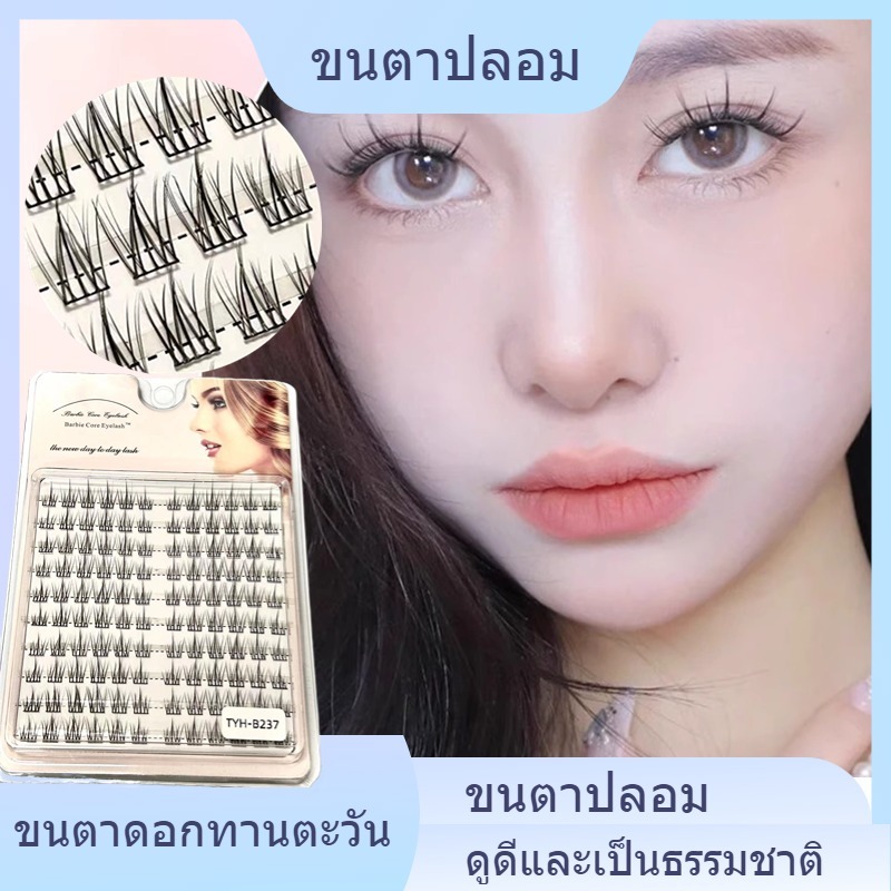 ขนาช่อแบ่ปลอมปลายแงส่วนกระจุกเดี่ยวก้านดำเลือดผสมขนตาปลอมปลายแหลมยุโรปและอเมริกาหูข้าลีขนตาช่อใหญ่ ติดข้างละ ช่อ ติด