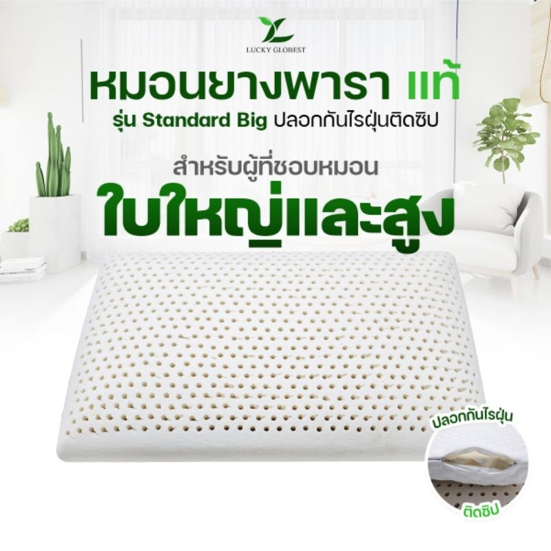 Lucky Globest หมอนยางพาราแท้รุ่น Standard ปลอกติดซิป