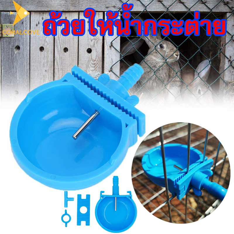 coralcoveshop ถ้วยให้น้ำกระต่าย ถ้วยให้น้ำอัตโนมัติ ที่ให้น้ำกระต่าย ชามให้น้ำสัตว์เลี้ยง หนู กระต่าย แบบติกกรง