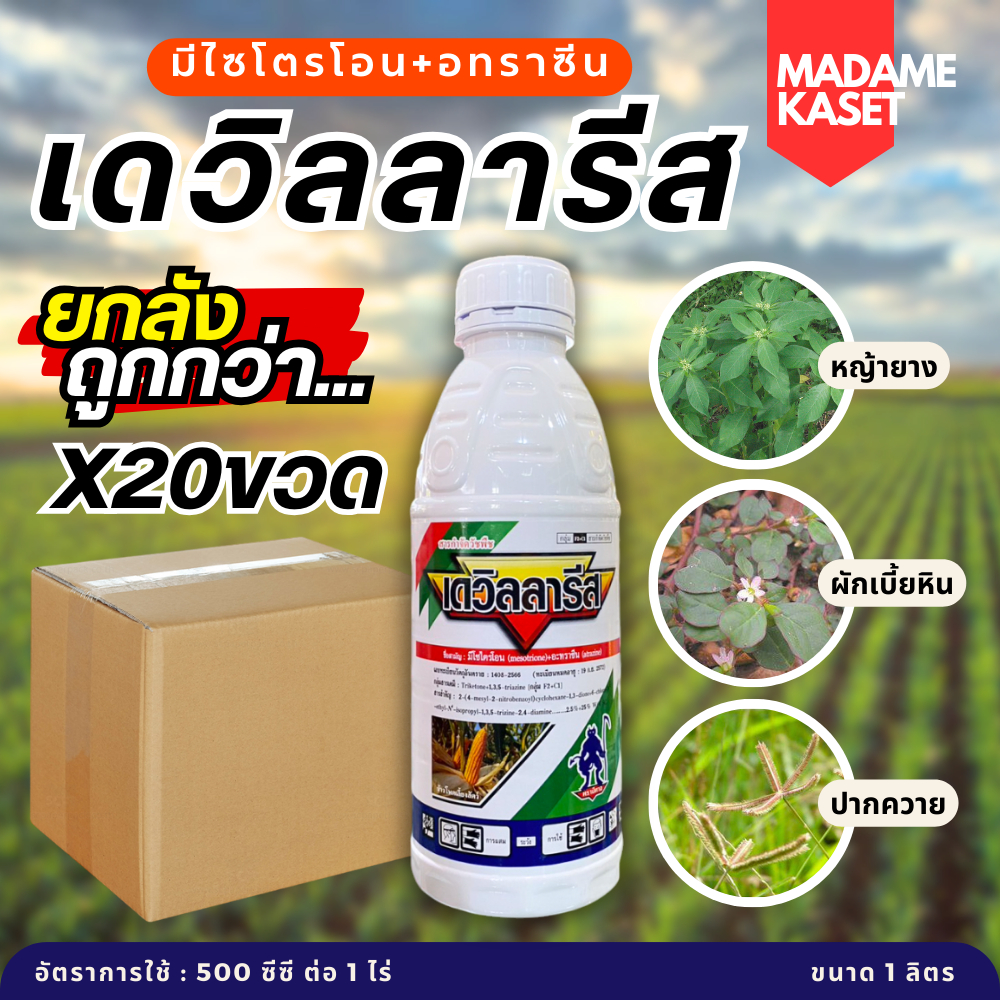 เดวิลลารีส ยกลังx20 (มีโซไตรโอน+อะทราซีน) สารคุมวัชพืชใบแคบในข้าวโพด/อ้อย คุมนาน สูตรครีม ใช้ง่าย ละลายน้ำดี (1 ลิตร)
