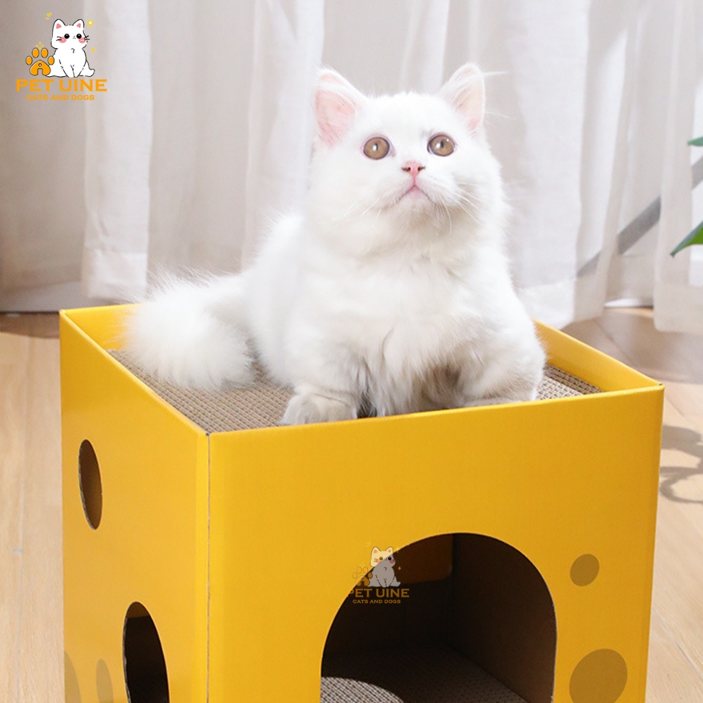 PET UINE-C5 บ้านแมว กล่องลับเล็บชีส ลับเล็บได้ 2 ชั้น กล่องกระดาษบ้านแมว ที่ข่วนเล็บแมว ที่นอนเเมว ของเล่นแมว รูปที่ 8