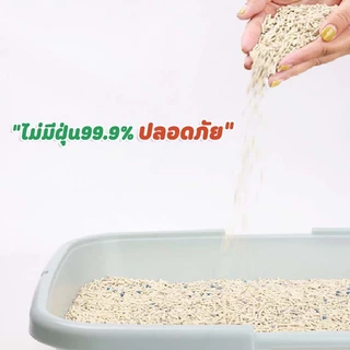 ทรายแมว ทรายแมวผสม ทรายเต้าหู้ เบนโทไนต์ มีหลายกลิ่น ไม่ติดเท้า ทรายแมวเต้าหู้ (6 ลิตร), แมวเลียส่