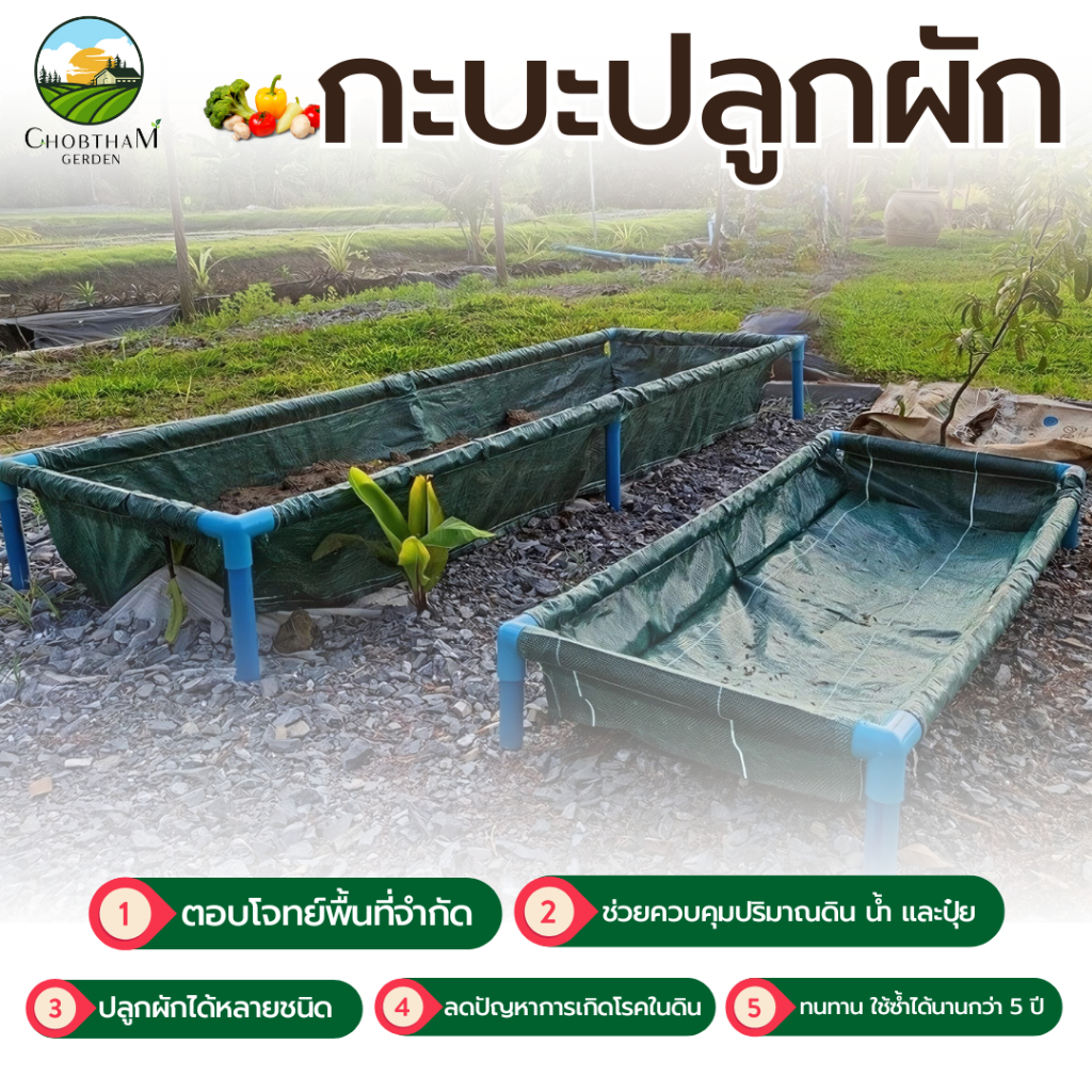 กะบะปลูกผัก (ไม่รวมโครง)​ขนาด​ 42×120×20 cm.​ใช้​ป​ลูกผัก​  ประหยัด​ดิน​และเนื้อที่ในการปลูก ราคาถูก​ ใช้ทนได้​ 8​ ปี - รูปที่ 2