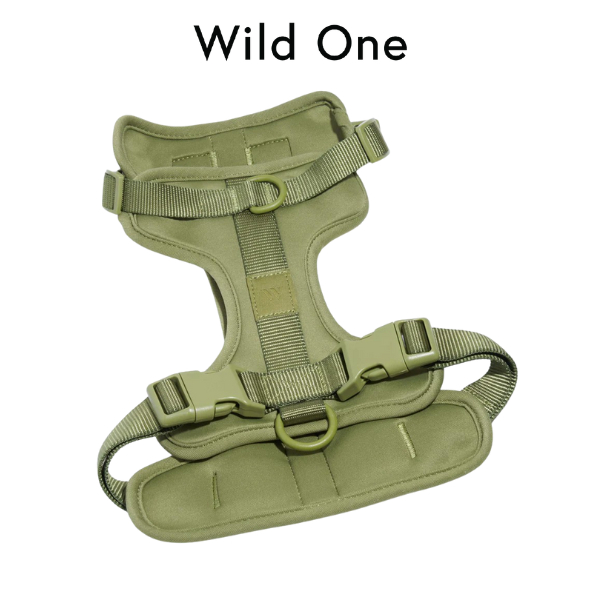 Wild One - Harness สายรัดอกสุนัข │ Moss 🌳