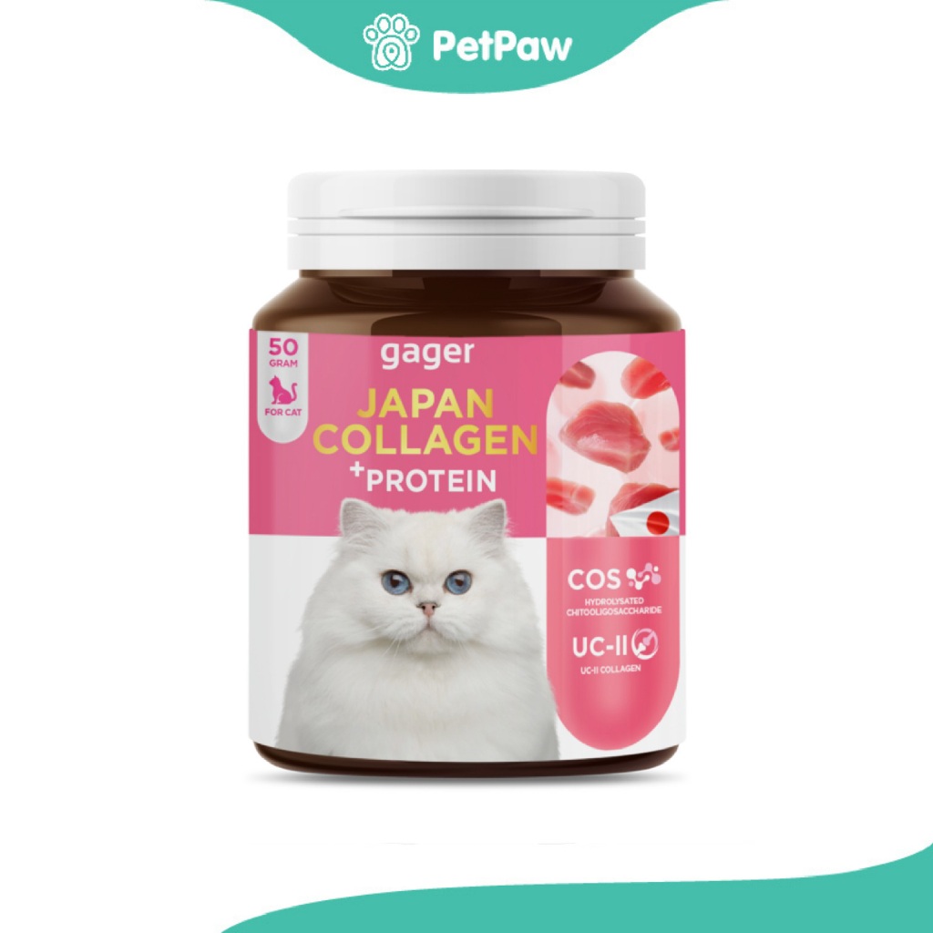 Gager (กาเจอร์) อาหารเสริมกล้ามเนื้อแมว ผงคอลลาเจน+โปรตีนเสริมกล้ามเนื้อ 50g.(1pcs)