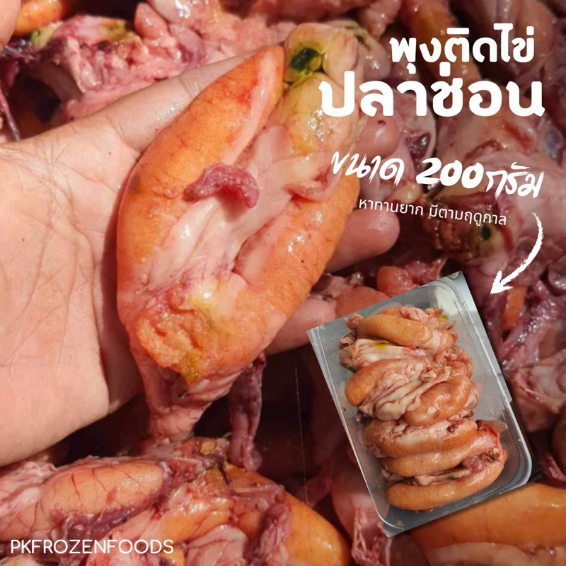 พุงติดไข่ปลาช่อน (200g.)🐟🐟✨ 🔥ค่าส่งแบบเหมา คละได้ทั้งร้าน❗️โฟมฟรี💦 🚚💨ส่งขนส่งแช่เย็น❄️