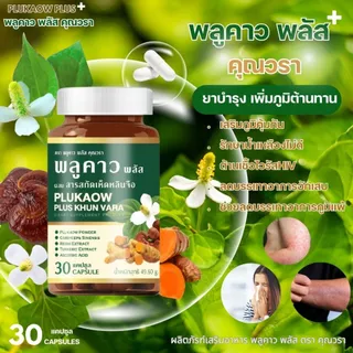 (โปรเดือน 8.8.) ส่งฟรี(1แถม1) Plukaow Plus Khun vara พลูคาว พลัส คุณวรา เสริมภูมิคุ้มกัน
