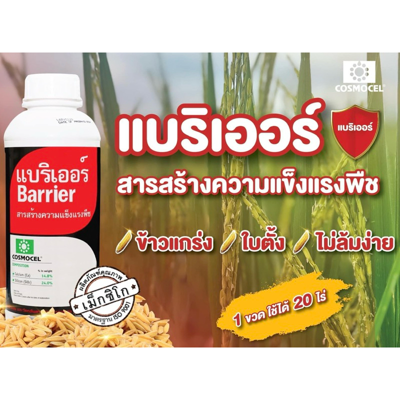 สร้างความแข็งแรงให้พืช ด้วย🌱แบริเออร์🌱