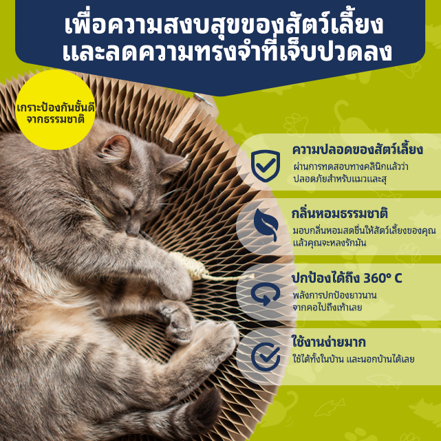 COUCOU  250 ml สเปรย์กำจัดเห็บหมัด กำจัดเห็บหมัด แก้ขี้เรื้อนสุนัข แมว เชื้อรา ยีสต์ คันเกา - รูปที่ 5