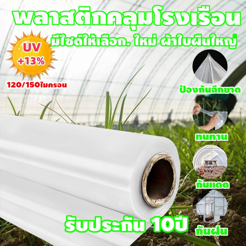 พลาสติกโรงเรือน คุม โรงเรือน พลาสติกคลุมโรงเรือน กันฝนgreenhouse หนา 150 ไมครอน UV13% โรงเรือนแคคตัส พลาสติกปูบ่อ
