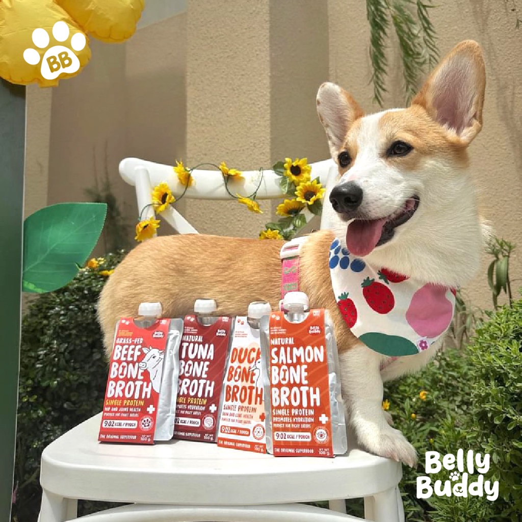 Belly Buddy Bone Broth ขนาด100ml สำหรับสุนัขและแมว