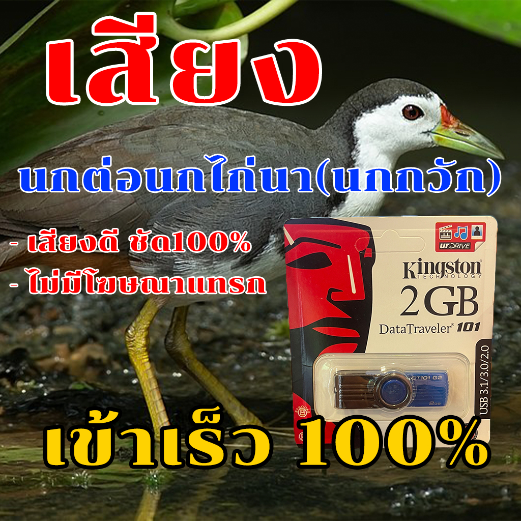 เสียงต่อนกกวัก_เข้าเร็วได้ผล100%เสียงดี ชัด100% ไม่มีโฆษณาแทรก