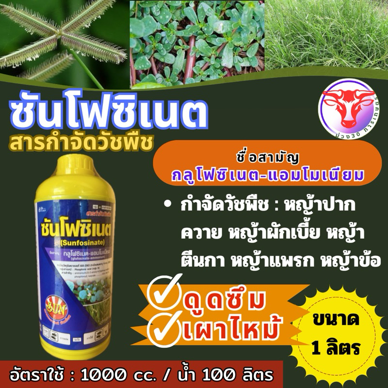 ✅ กลูโฟซิเนต ขนาด 1 ลิตร แอมโมเนียม 15% W/V SL ฆ่าหญ้าชนิดไม่เลือกทำลาย กำจัดได้ทั้งหญ้าใบแคบและหญ้าใบกว้าง เผาไหม้ ราคาถูก Shopee Lazada